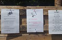Domžalski taborniki so tudi letos taborili v Stavči vasi 1